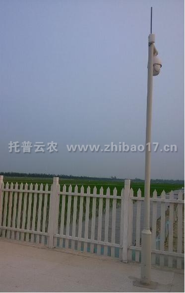 視頻監(jiān)控 視頻監(jiān)控