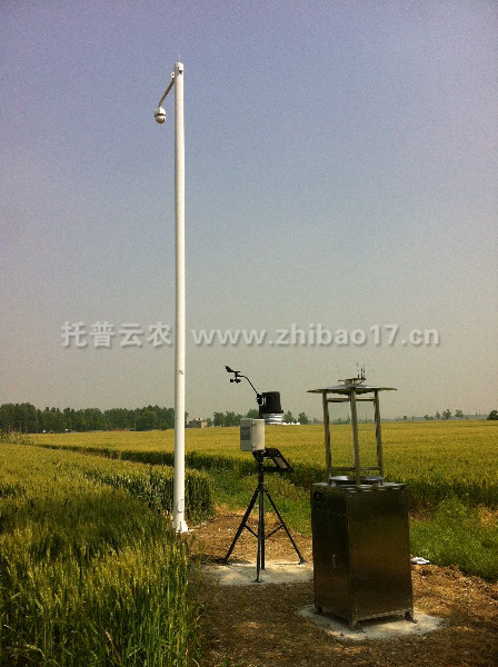 埇橋區大田“四情”監測系統成果展示 埇橋區大田“四情”監測系統成果展示